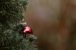 A Christmas Eve