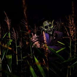 The Stalking Dead