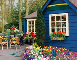 The Flower Festival