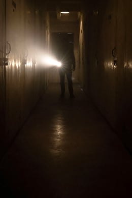 The Nest [Immersive Theatre]