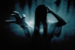 Das Mädchen aus dem Brunnen [The Girl From the Well]