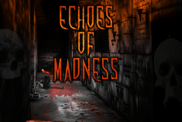 Echoes of Madness
