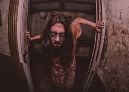 The Haunted Hotel