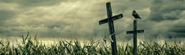 The Haunted Corn Trail