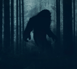 Bigfoot
