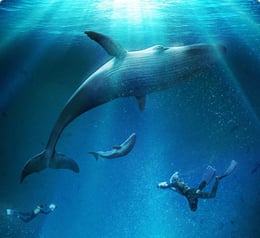 The Blu - Deep Rescue [VR]