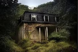 House in the Woods