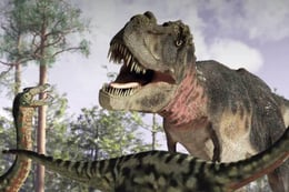 Escape From Dino Island