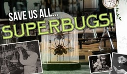 Superbugs