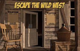 The Wild West