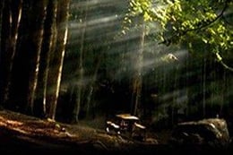 Once Upon A Time: The Enchanted Escape