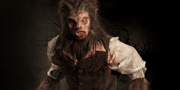 Lycans Curse