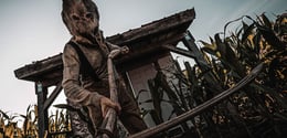 Haunted Cornfield​