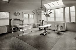 The Asylum