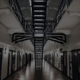 Cell 126