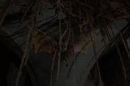 Dracula's Castle