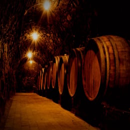 Τhe Baristro Cellar
