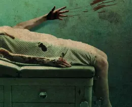 Asylum