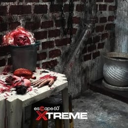 Experimentos Mortais [Mortal Experiments]