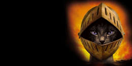 Kingdom Of Cats