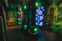 Tiki Island