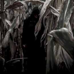 Field Of Screams