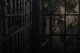 Escape The Cell