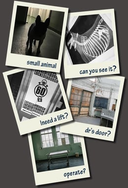 Animal Hospital