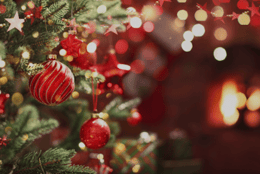 Noel [2019]