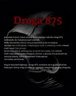 Droga 875