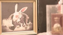 The Rabbit Trap