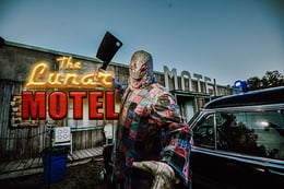 The Lunar Motel