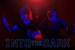 Into The Dark