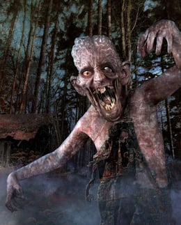 Evil In The Woods