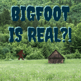 Bigfoot is Real?!