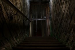 The Dungeon