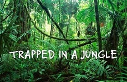 Trapped in a Jungle