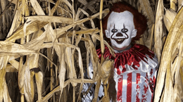 Haunted Flashlight Corn Maze