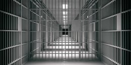 Prison Break: Warden Strikes Back!