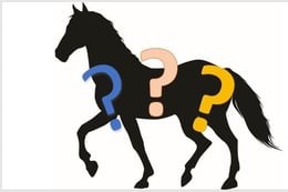 Mystery of the Missing Mare