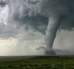 Twister!