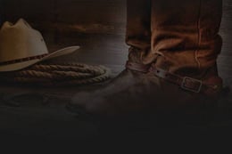 Wild West