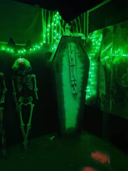 Carnival of Chaos