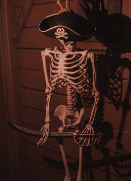 Pirates Queen Anne's Revenge