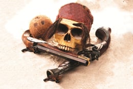 Le Navire Du Pirate Blackbeard [Blackbeard's Brig]