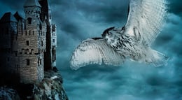 La Puerta Mágica [The Magic Door]