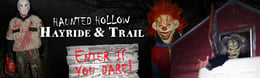 Haunted Hollow Woods