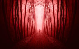 Paranoia and Possession : The Horrors of Camp Kray