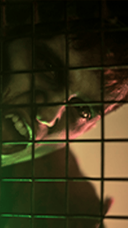 Wreck-Cage