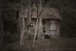 Mrs Rose's House